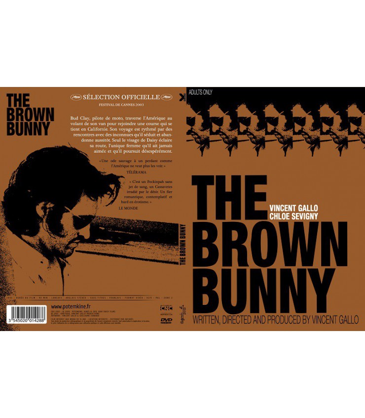 The Brown Bunny Chlo Sevigny